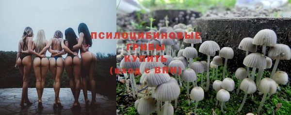 MESCALINE Майский